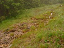 2013-06-22_Hirschhoerndl_Jochberg (207).JPG